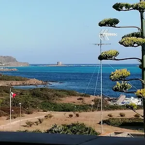 La Finestra Sulla Torre Appartamento Stintino